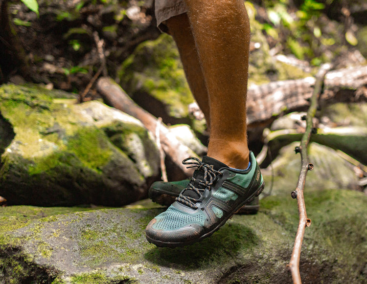 MEM-FGN_Mesa-Trail-II_Forest_Hawaii_0242_HR