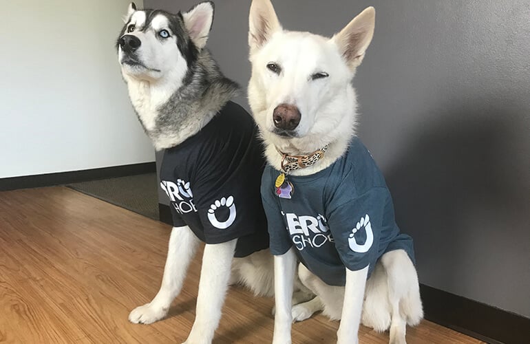 shirt-dogs-3-4