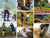 Xero Shoes Launches New Barefoot Shoes for Running, Hiking and Casual Wear