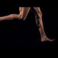 Is your body optimized for running?