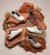 Sedona Collection