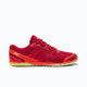 Salsa Red