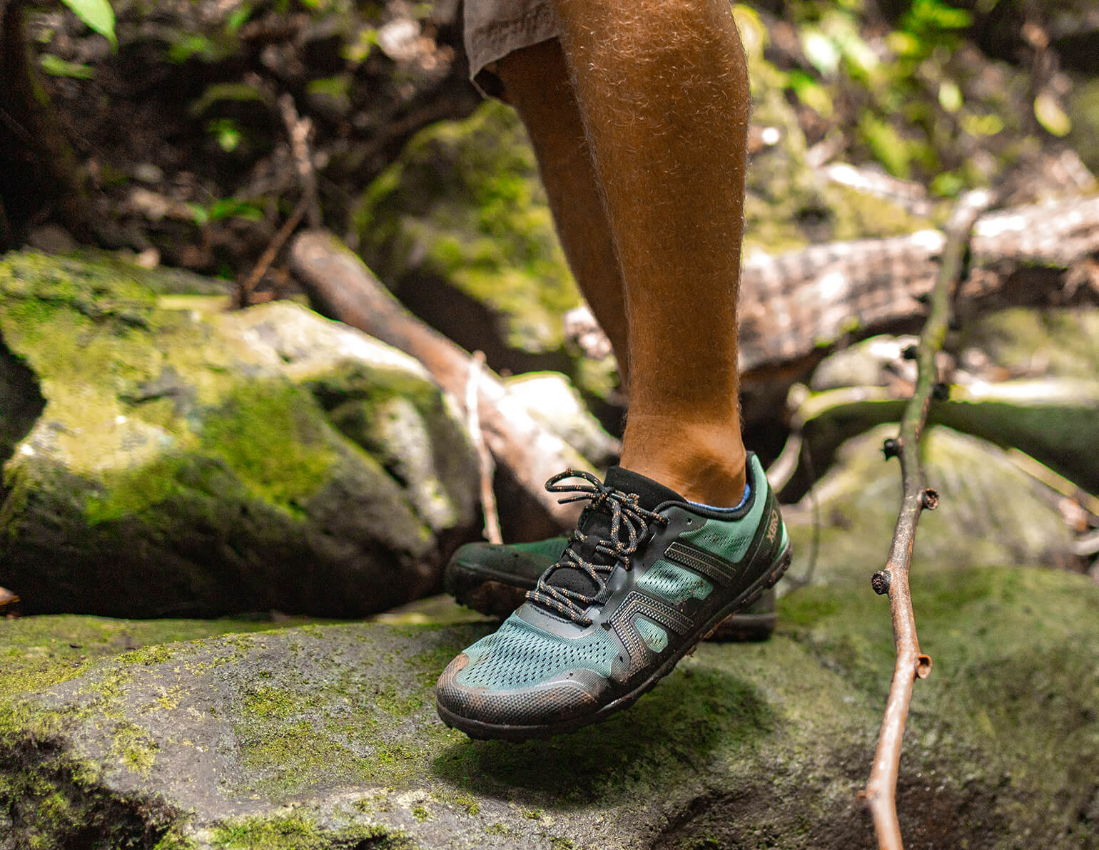 MEM-FGN_Mesa-Trail-II_Forest_Hawaii_0242_HR