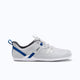 Lunar / Blue Iolite